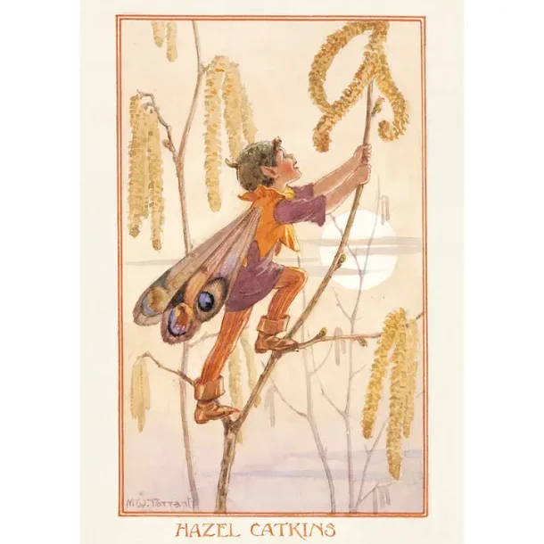 MARGARET TARRANT POSTKORT; HASSELRAKLEN