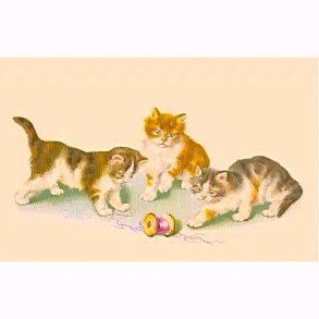 NOSTALGIKORT KATTER OG TR�DSNELLE