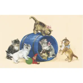 NOSTALKORT KATTER OG BL� T�NNE