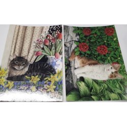 Katter Enkle Kort 3 ulike