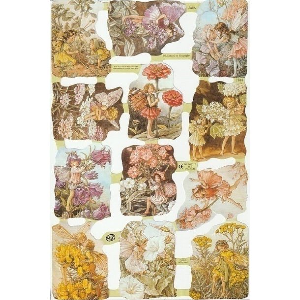 MPL 1888 Flowerfairies