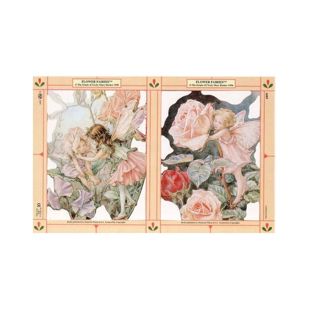 MPL 1899 Flowerfairies