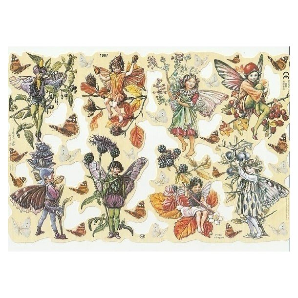 MPL 1987 Flowerfairies