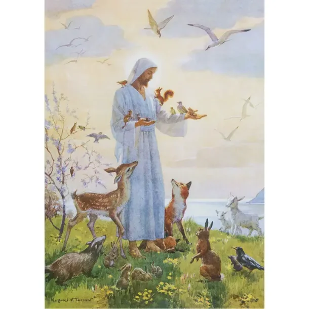 MARGARET TARRANT POSTKORT; DISSE MINE MINSTE