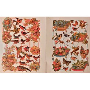 EF 7212 og 7241 Fugler