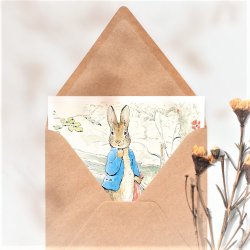 Peter Rabbit 2 Postkort med Konvolutter