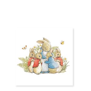 Peter Rabbit 2 Postkort med Konvolutter