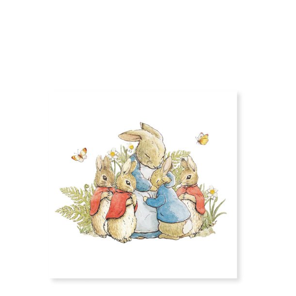 Peter Rabbit 2 Postkort med Konvolutter