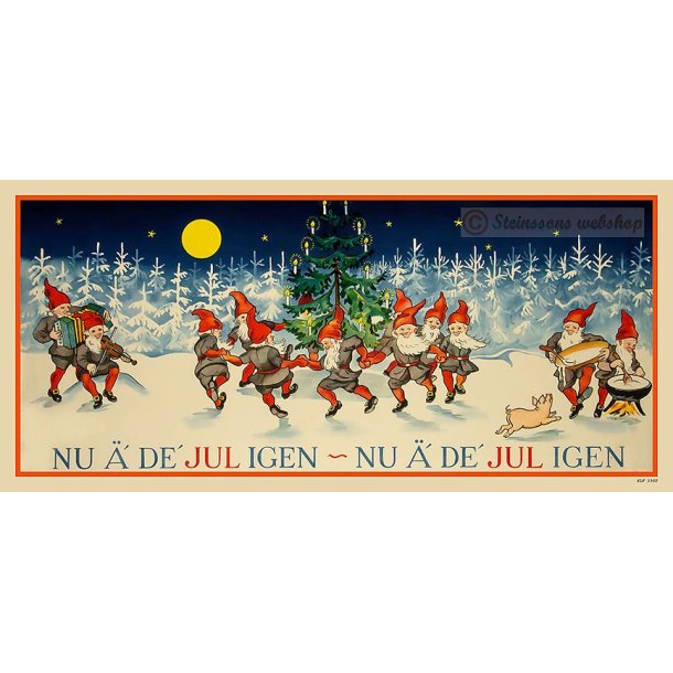 Bonad Jul Slf1502
