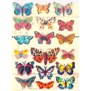 EF 7221 SOMMERFUGLER