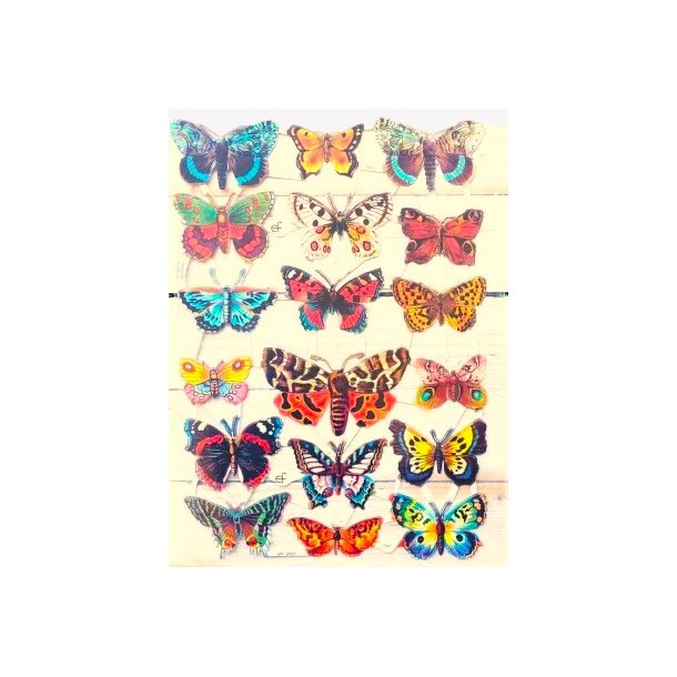 EF 7221 SOMMERFUGLER