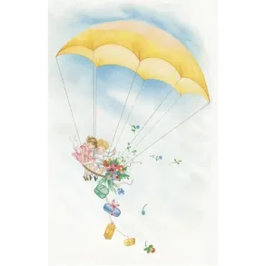 NOSTALGIKORT FALLSKJERM