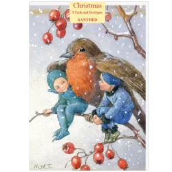 JULEKORT 5-pk MED KONVOLUTTER,  KIND ROBIN (Omsorgsfull r�dstrupe)