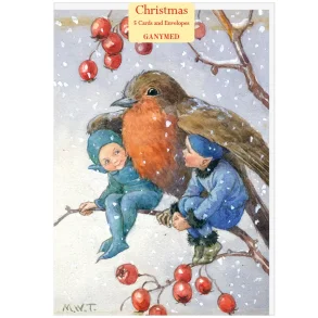 JULEKORT 5-pk MED KONVOLUTTER,  KIND ROBIN (Omsorgsfull r�dstrupe)