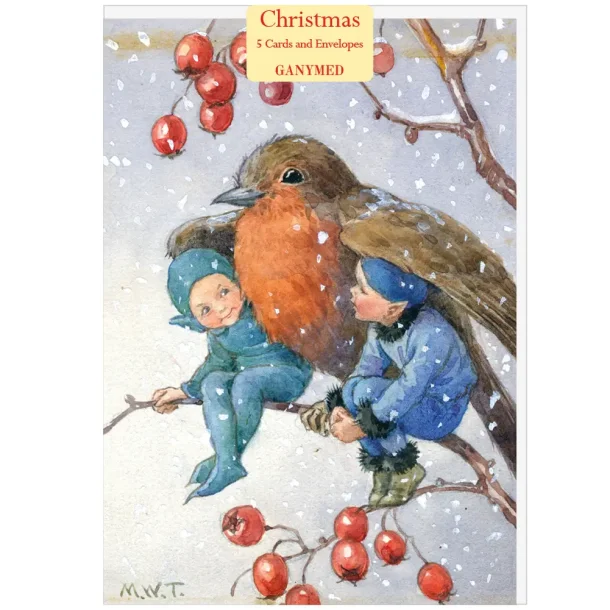 JULEKORT 5-pk MED KONVOLUTTER,  KIND ROBIN (Omsorgsfull r�dstrupe)