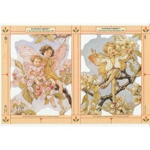 MPL 1898 Flowerfairies