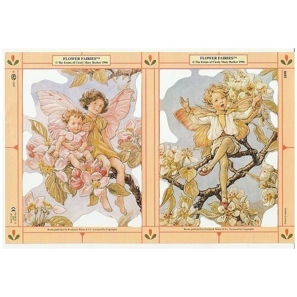 MPL 1898 Flowerfairies