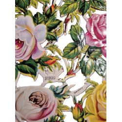 PZB 31/899 1/3  14,5x29 cm