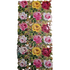 PZB 31/899 1/3  14,5x29 cm