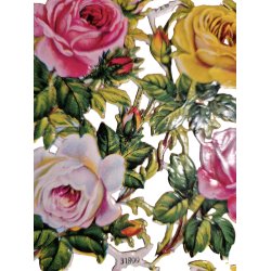 PZB 31/899 1/3  14,5x29 cm