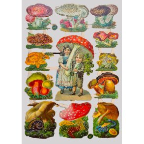 EF 7355 S�LVGLITTER