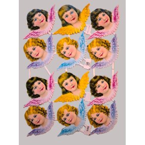 PZB 31890 ROSA ENGEL F�RST