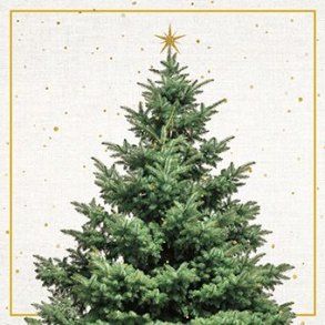 SERVIETTER FIR TREE 33x33 cm 20 stk