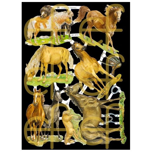 EF  7199 og 7226 Hester