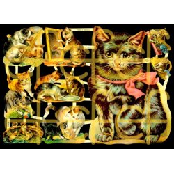 EF 7214 og 7238 KATTER