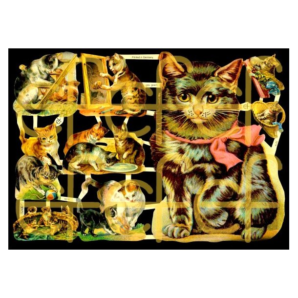 EF 7214 og 7238 KATTER