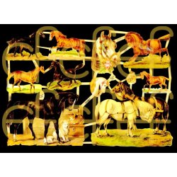 EF  7199 og 7226 Hester