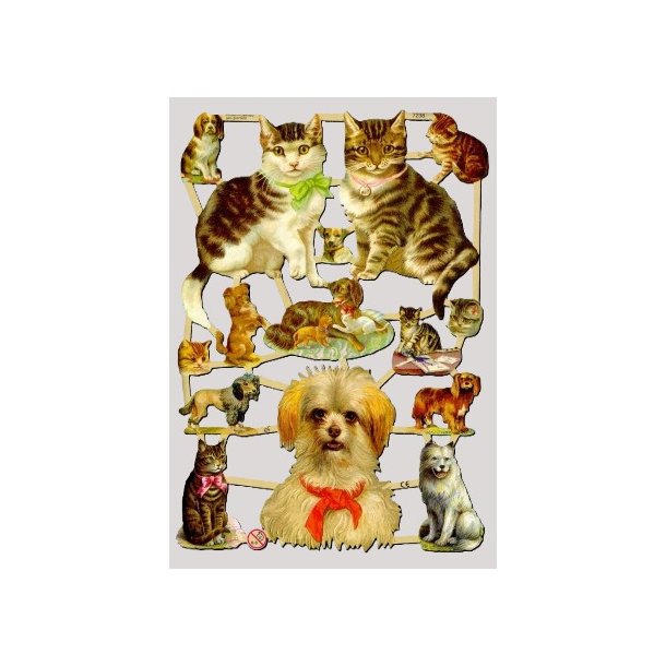 EF 7238 KATTER OG HUNDER