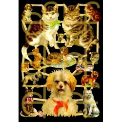 EF 7214 og 7238 KATTER