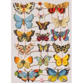 EF 7297 SOMMERFUGLER