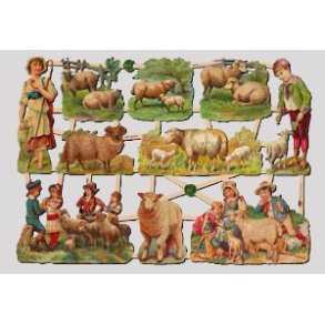 EF 7405 Barn og sauer