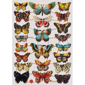 EF 7426 S�lvglitter