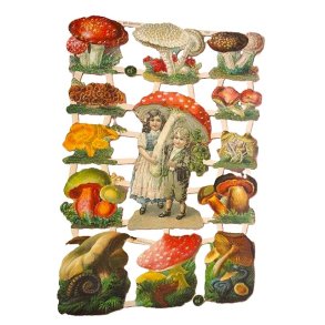 EF 7355 Barn og sopper