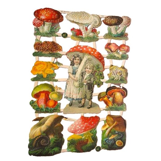 EF 7355 Barn og sopper