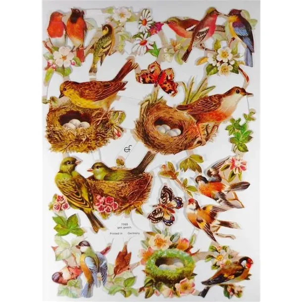 EF 7069 FUGLER MED REIR OG EGG