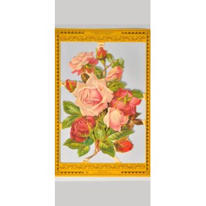 MPL GOLDEN SERIES A103