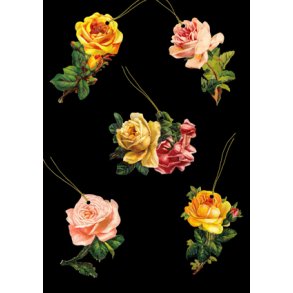 Roser Merkelapper EF 1-236