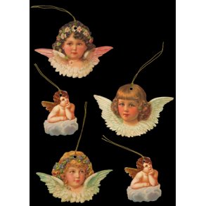 Engler Merkelapper EF 7-247