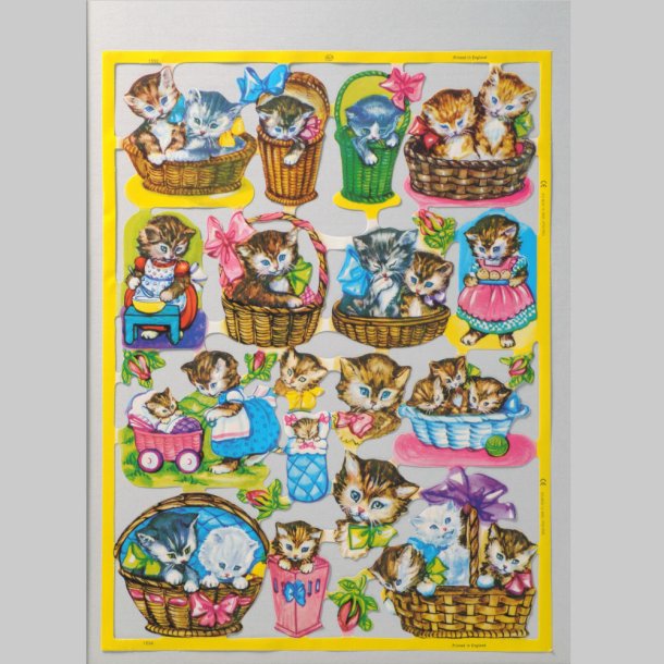 MPL 1593/1594 KATTER HELARK MED GUL KANT