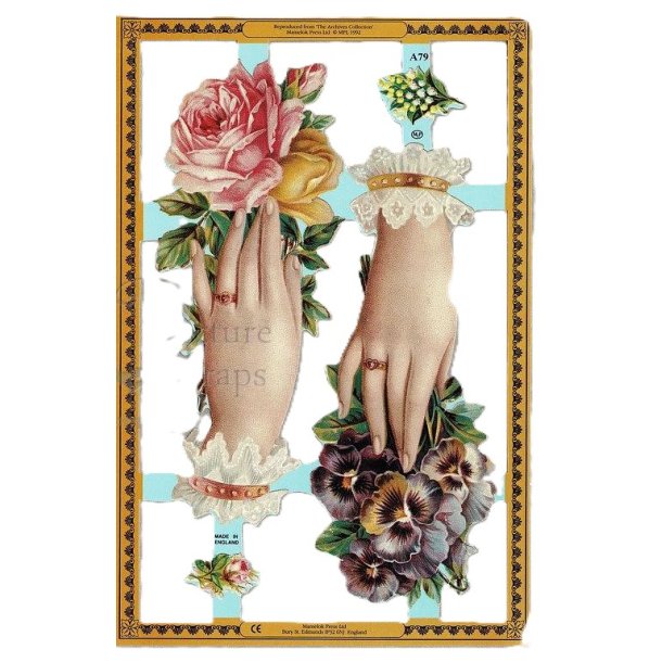 MLP GOLDEN SERIES A79