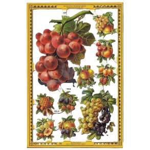 MLP GOLDEN SERIES A97