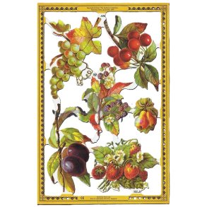 MLP GOLDEN SERIES A98