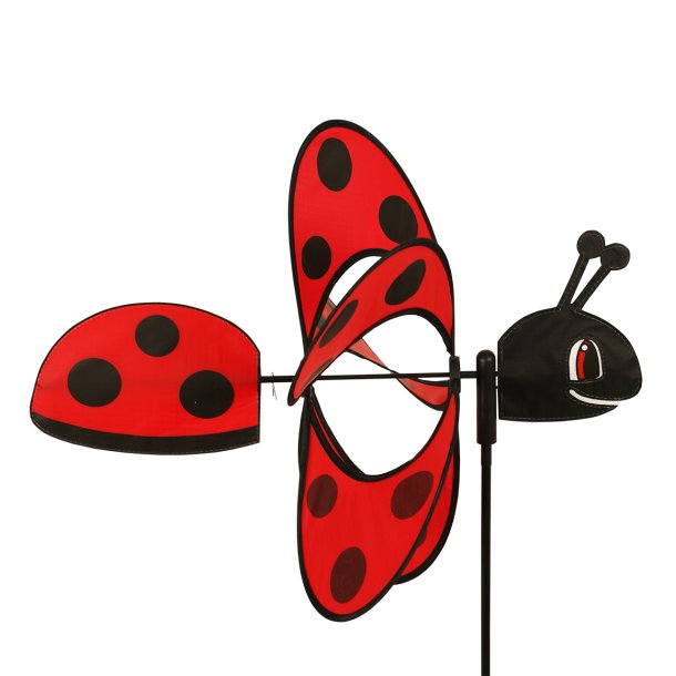 MAGIC LADYBIRD