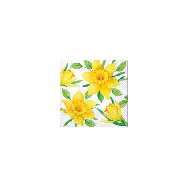 Serviett Daffodil 25 x 25