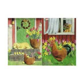 Jessica B�rjesson H�ner, 2 enkle kort