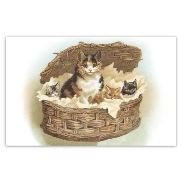 NOSTALGIKORT KATTEKURVEN